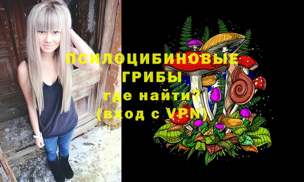 гашик Мегион