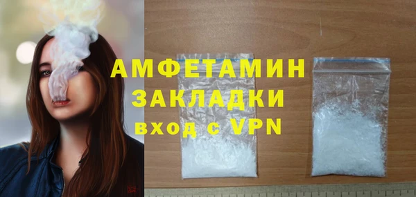 гашик Мегион