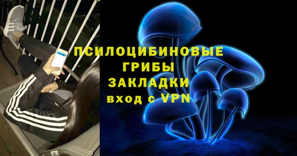 гашик Мегион