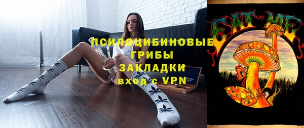 спайс Медвежьегорск