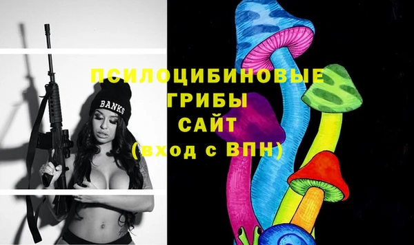 спайс Медвежьегорск