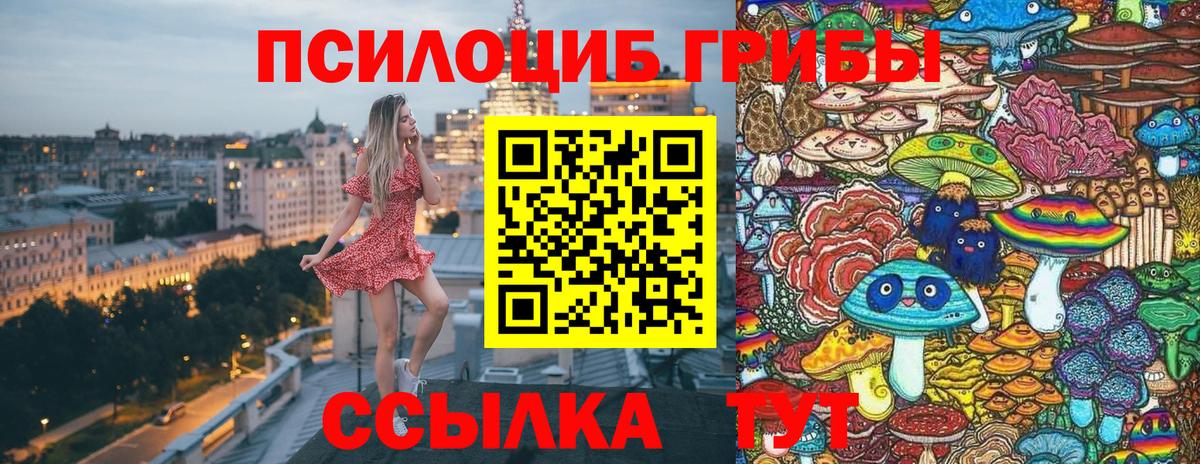 Галлюциногенные грибы мицелий  где продают наркотики  Чебоксары  Вход с VPN  Псилоцибиновые грибы GOLDEN TEACHER 